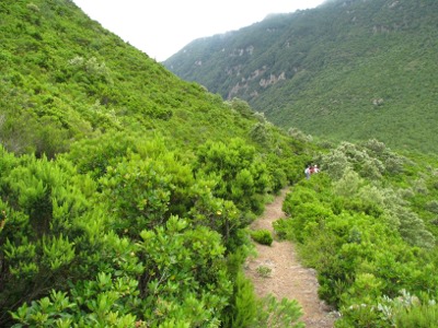sentiero su Monte Gibele