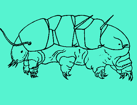 Copior2.gif (6163 byte)