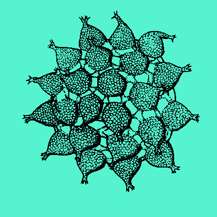 Copiour5.gif (11866 byte)