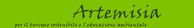 Artemisia