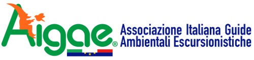 logo AIGAE