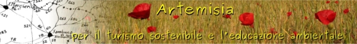 Artemisia