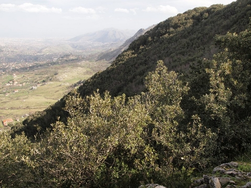 Lecceto di Costalunga