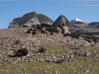 Ramusa, Campana, Busambra
