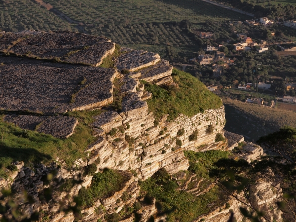 uova di testuggine