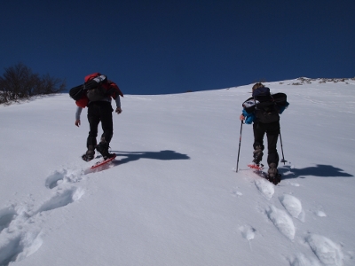 Monte Ferro