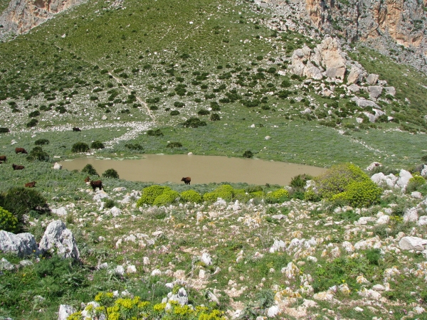 gorgo cofano inizio inverno