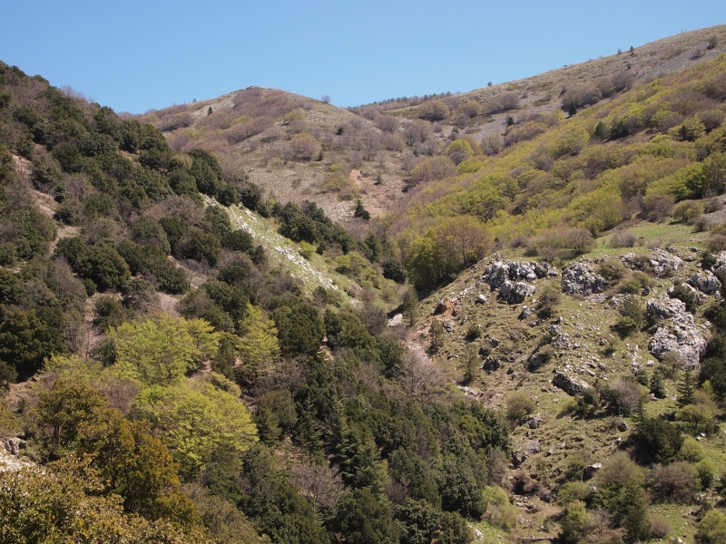 Vallone Madonna degli Angeli