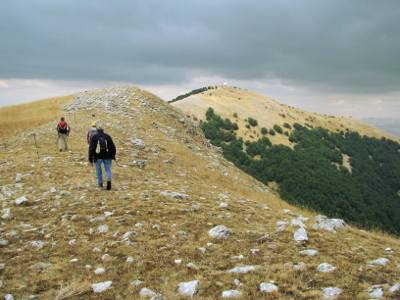 Monte delle Rose