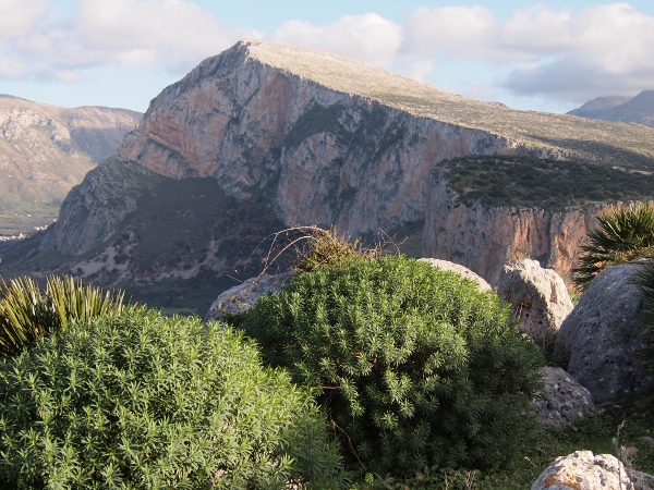 Monte Palatimone