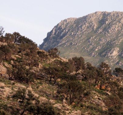 Monte Signora