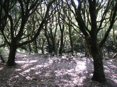 Montagna Grande