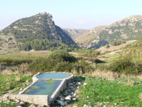 pizzo_potorno